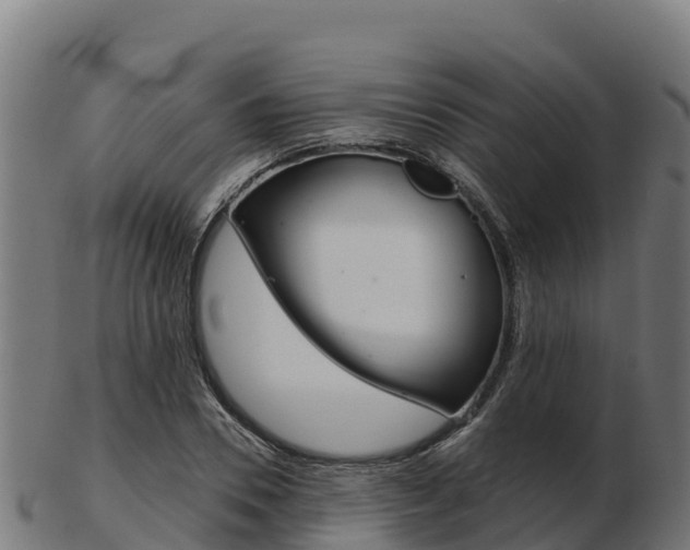 X0000103460930200809121054