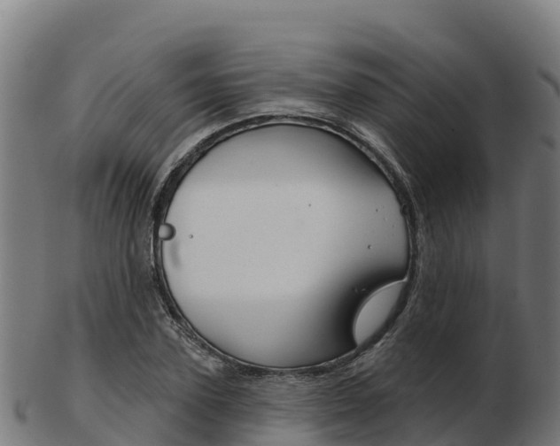 X0000103460931200809121054