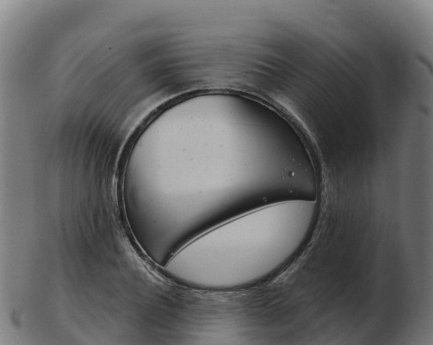 X0000103460932200809121054