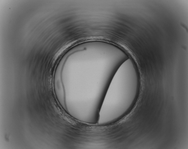 X0000103460933200809121054