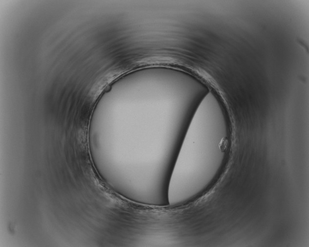 X0000103460937200809121054