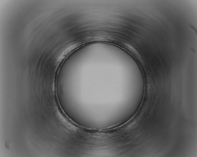 X0000103460938200809121054