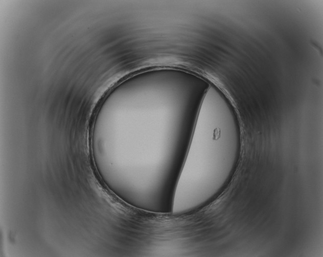 X0000103460939200809121054