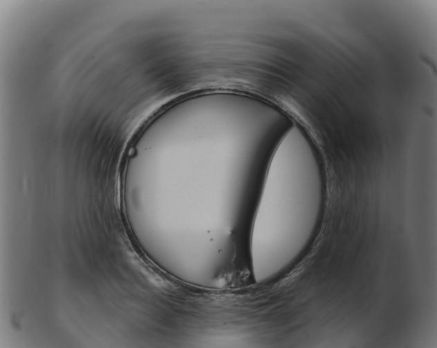 X0000103460940200809121054