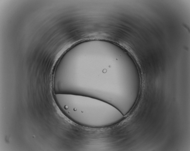 X0000103460941200809121054