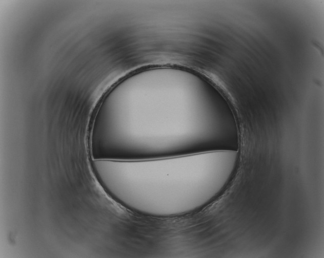 X0000103460943200809121054