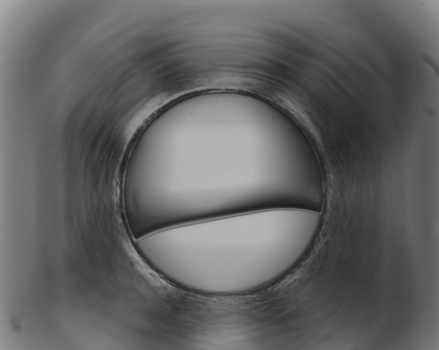 X0000103460944200809121054