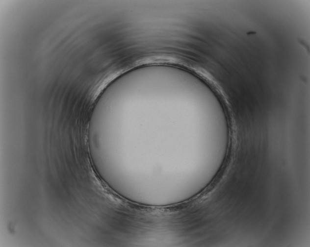 X0000103460945200809121054