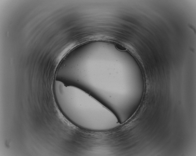 X0000103460946200809121054