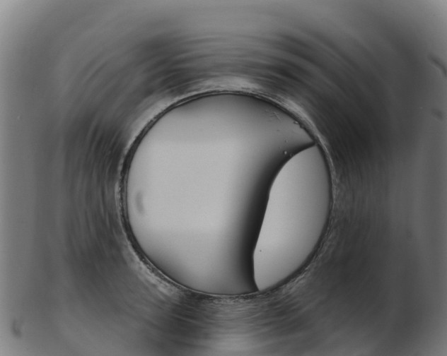 X0000103460947200809121054
