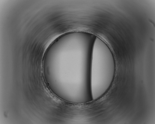 X0000103460948200809121054