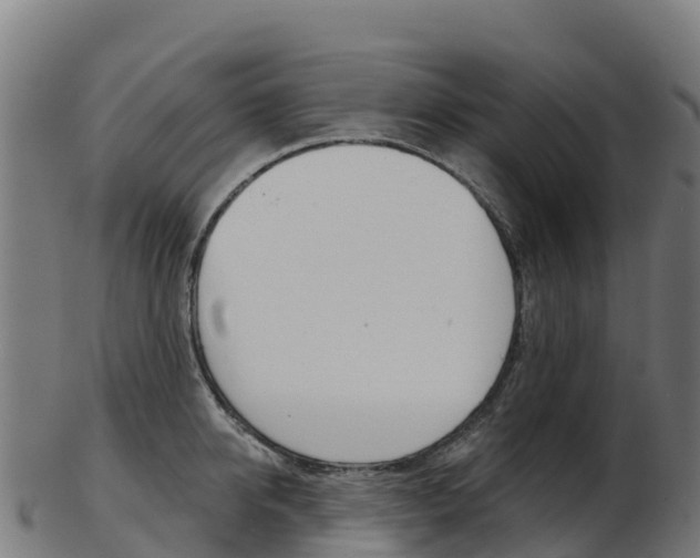 X0000103460950200809121054