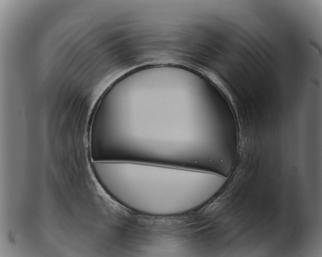 X0000103460951200809121054