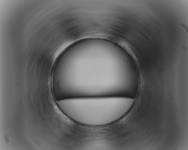 X0000103460952200809121054