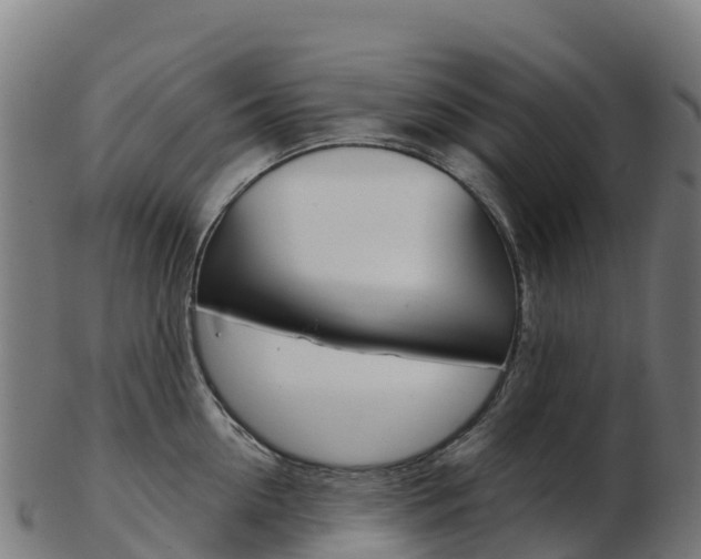 X0000103460954200809121054