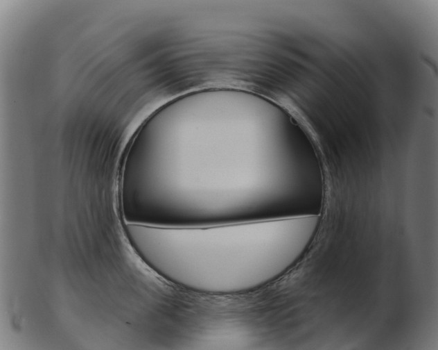 X0000103460955200809121054