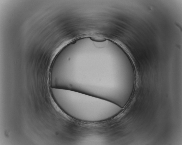 X0000103460957200809121054