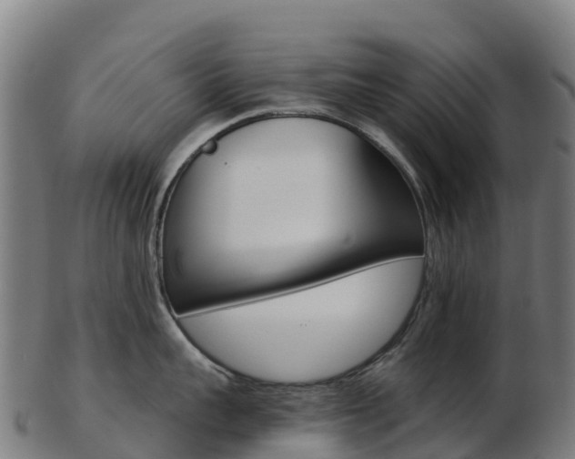 X0000103460959200809121054