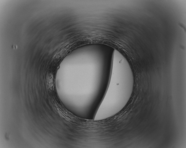 X0000103460963200809121054