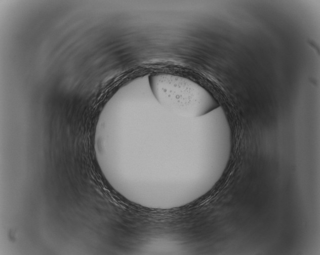 X0000103460965200809121054