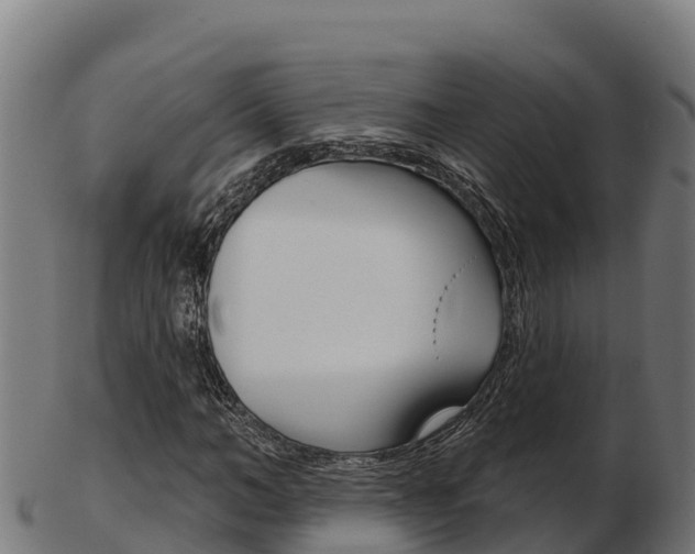 X0000103460966200809121054
