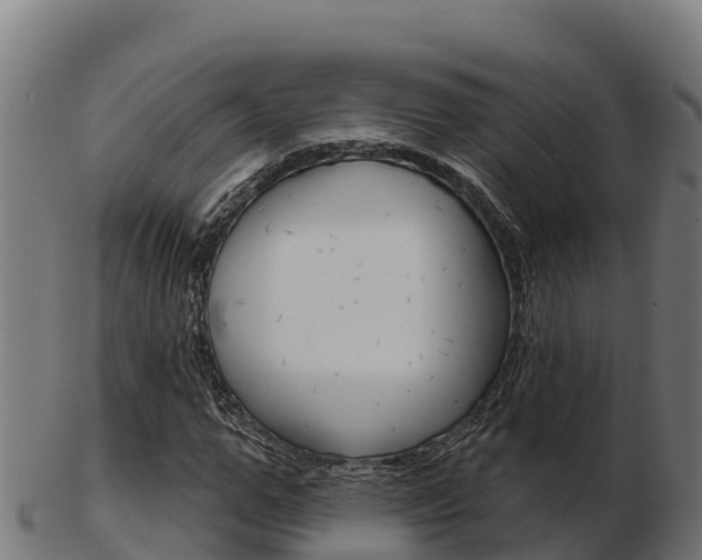 X0000103460967200809121054
