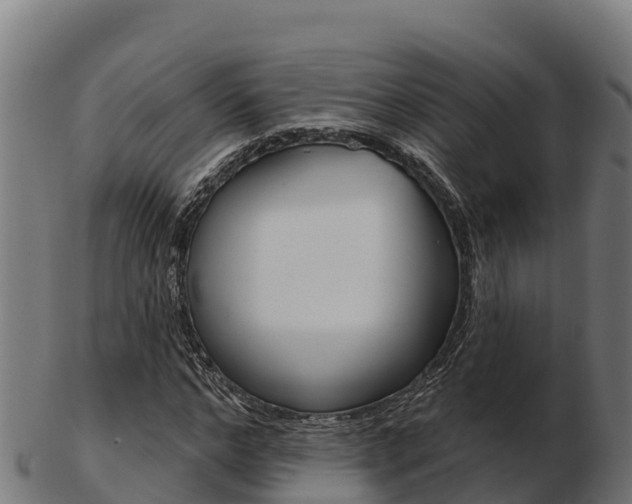 X0000103460968200809121054
