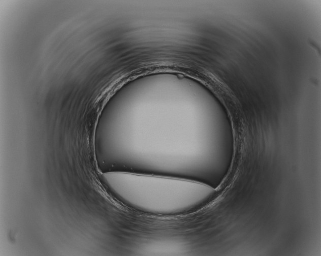 X0000103460969200809121054