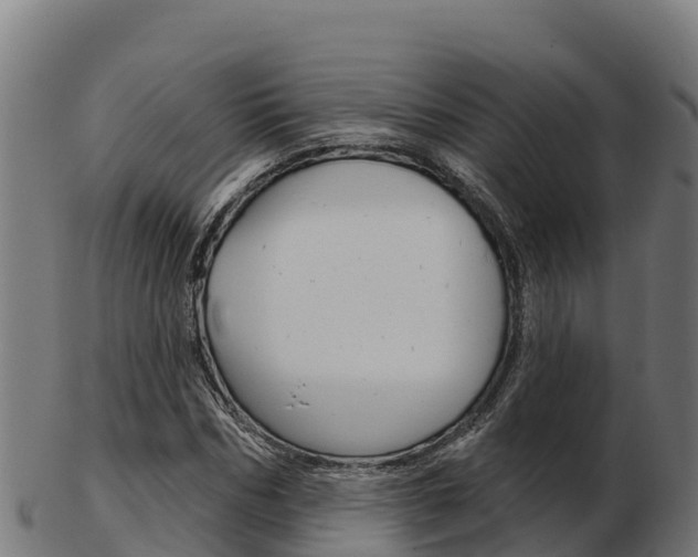 X0000103460970200809121054