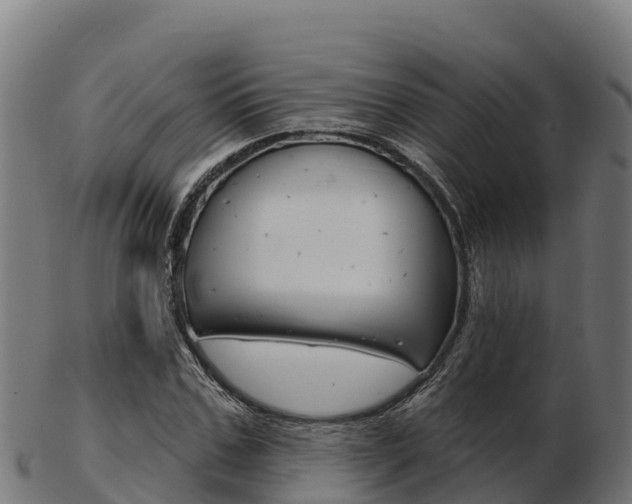 X0000103460971200809121054