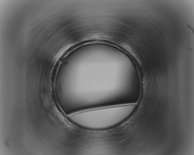X0000103460972200809121054