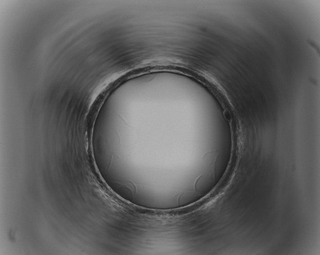 X0000103460973200809121054