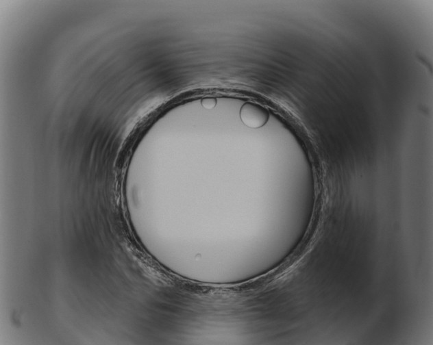 X0000103460974200809121054
