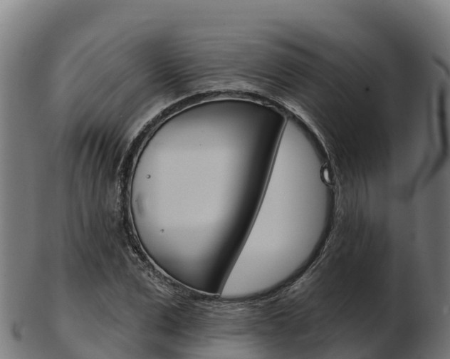 X0000103460975200809121054