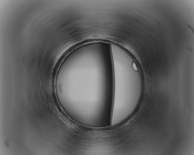 X0000103460976200809121054