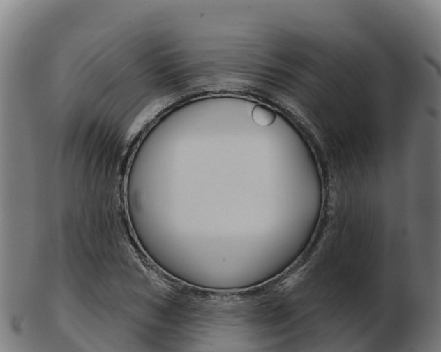 X0000103460978200809121054