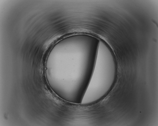 X0000103460979200809121054