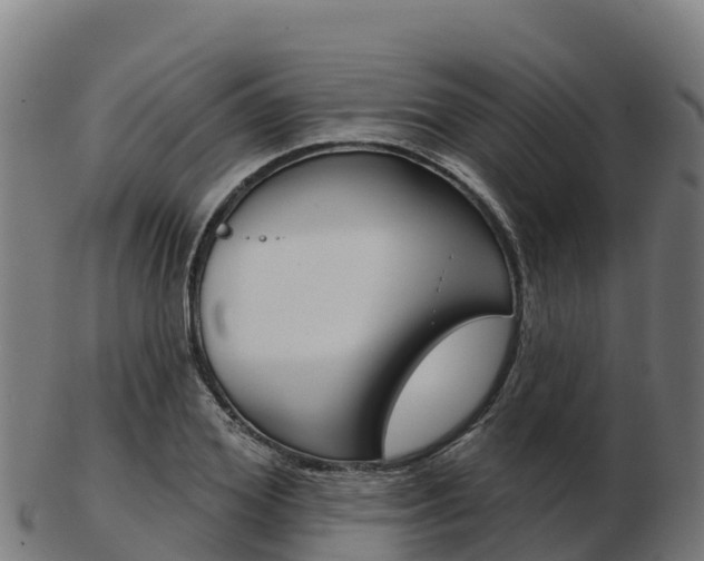 X0000103460980200809121054