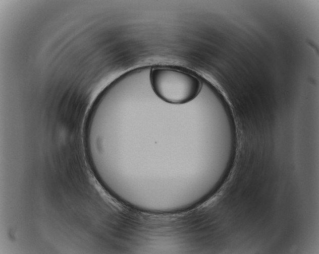 X0000103460981200809121054