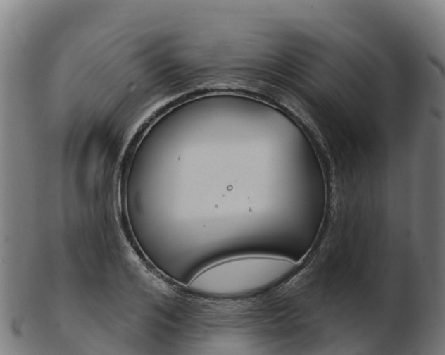 X0000103460984200809121054