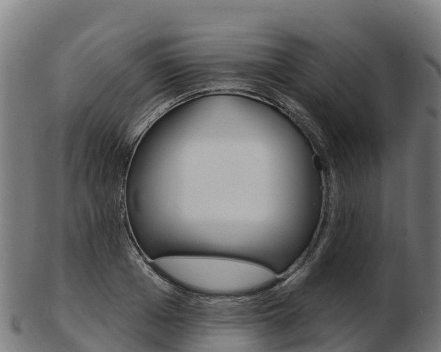X0000103460985200809121053