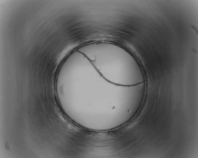 X0000103460986200809121053