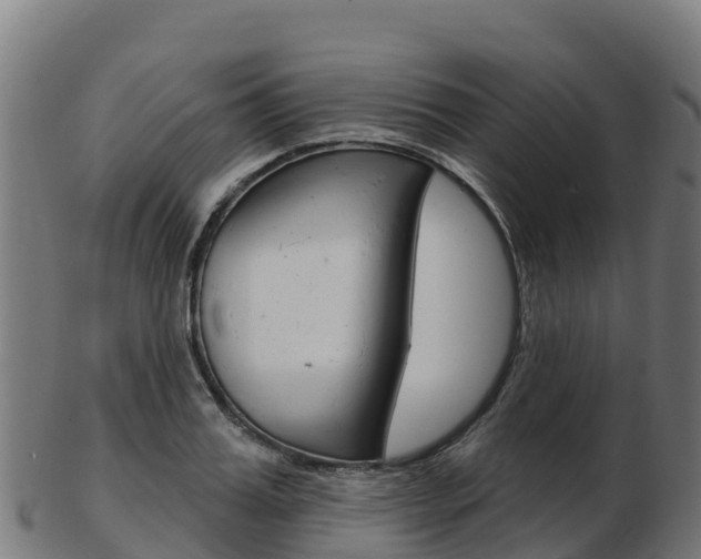 X0000103460987200809121053
