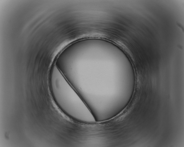 X0000103460989200809121053