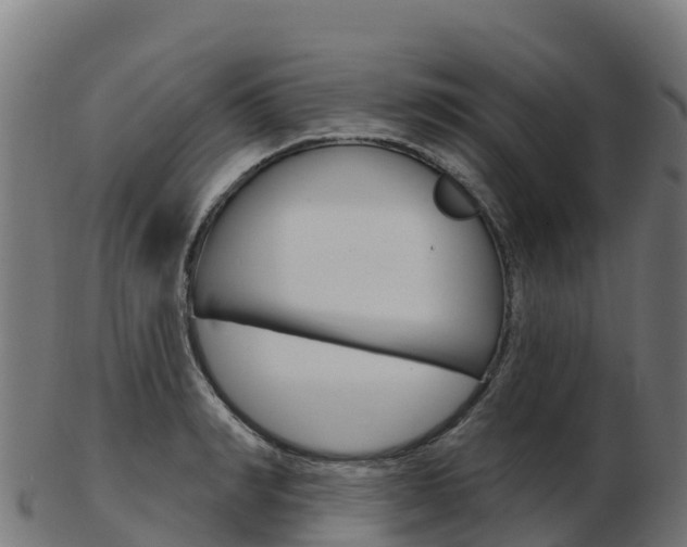 X0000103460990200809121053
