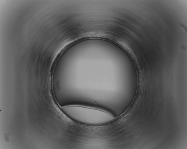 X0000103460992200809121053
