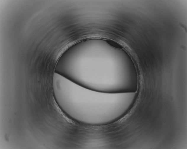 X0000103460993200809121053