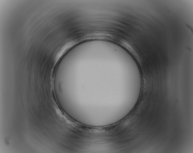X0000103460994200809121053