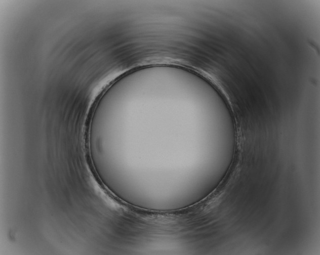 X0000103460995200809121053