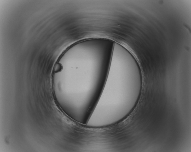 X0000103460996200809121053